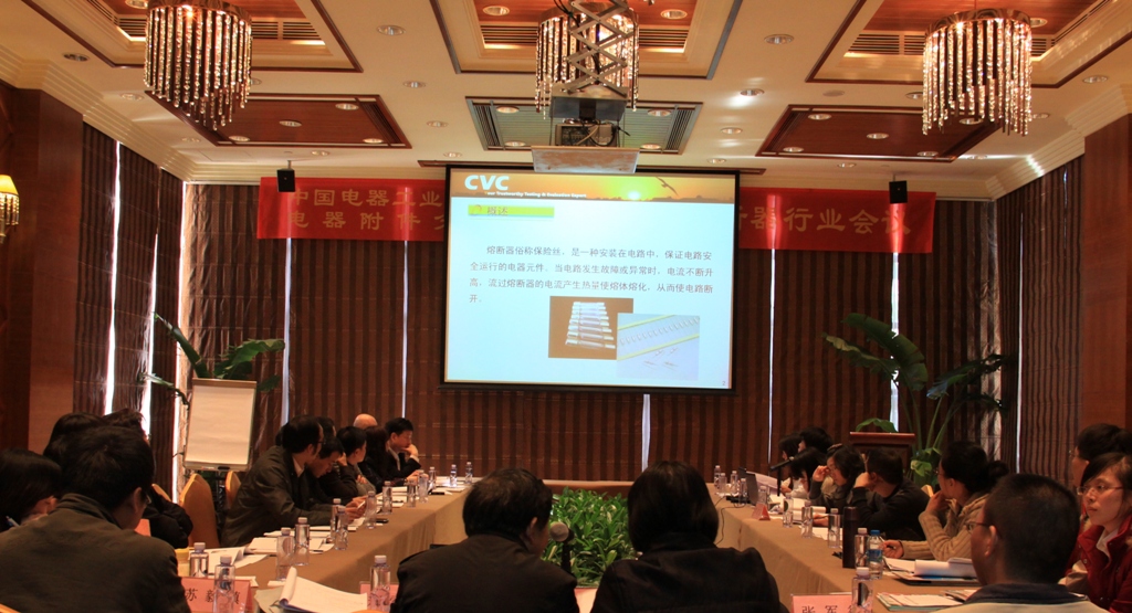 鄒建強進(jìn)行小型熔斷器檢測技術(shù)分享