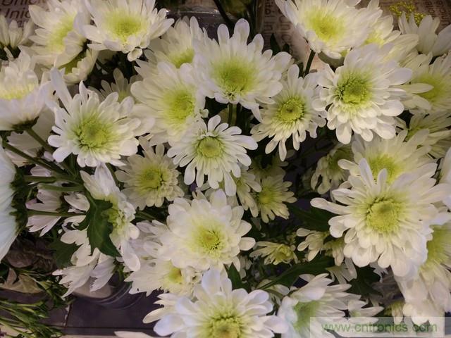 Hi-Fi革命！vivo X6 Plus深度評(píng)測(cè)：夠快才暢快