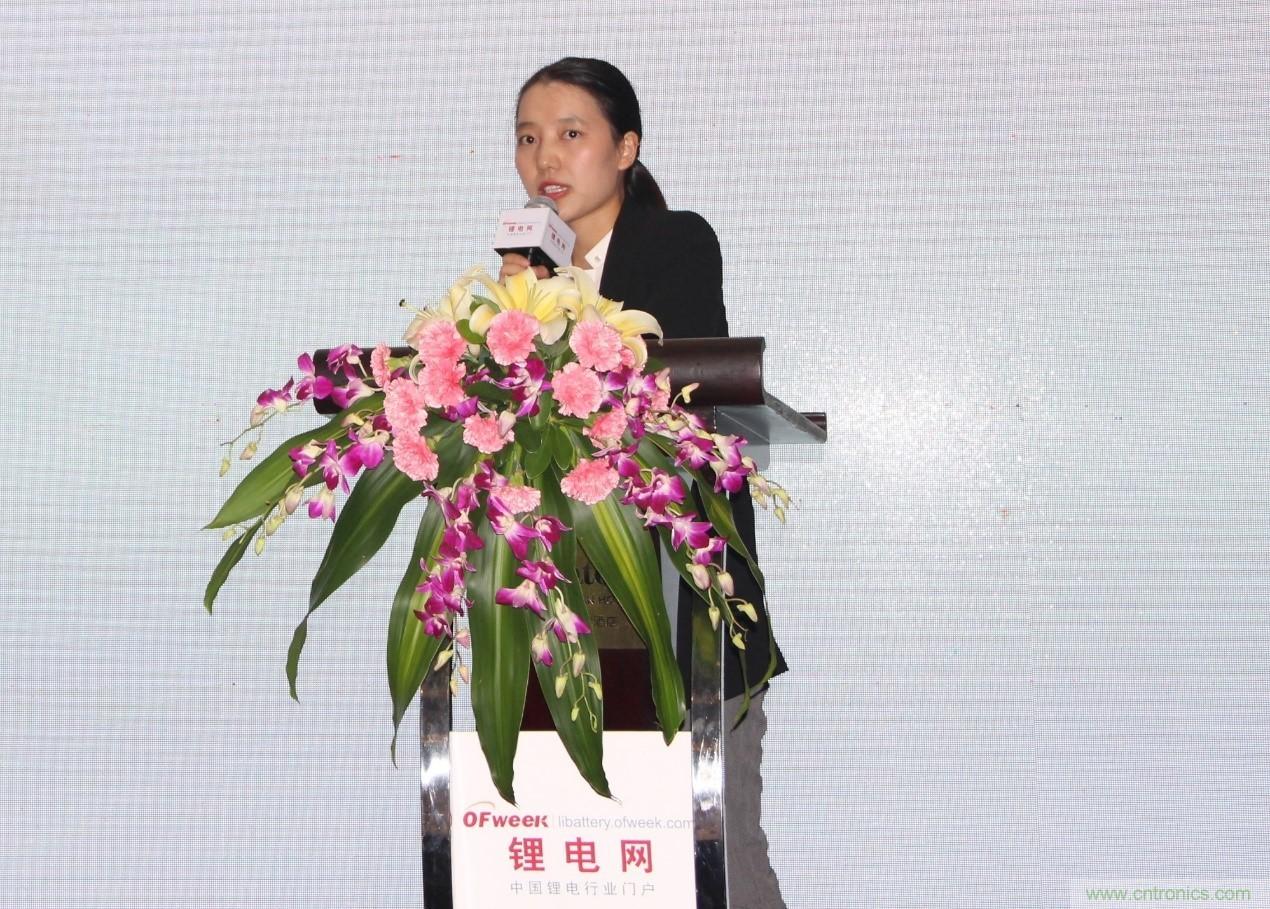 OFweek 2017（第四屆）中國(guó)鋰電產(chǎn)業(yè)高峰論壇成功舉辦