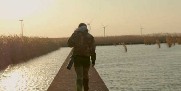 世界濕地日：?？低晹y手一個地球自然基金會，在上海守護(hù)這個重要“驛站”