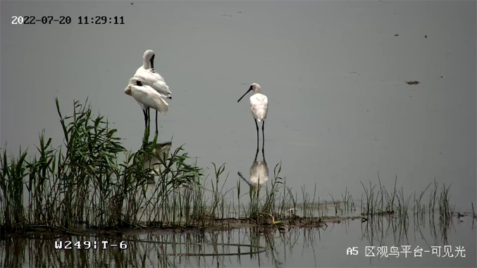 ?？低暟l(fā)布2022年ESG報(bào)告：科技為善，助力可持續(xù)的美好未來(lái)