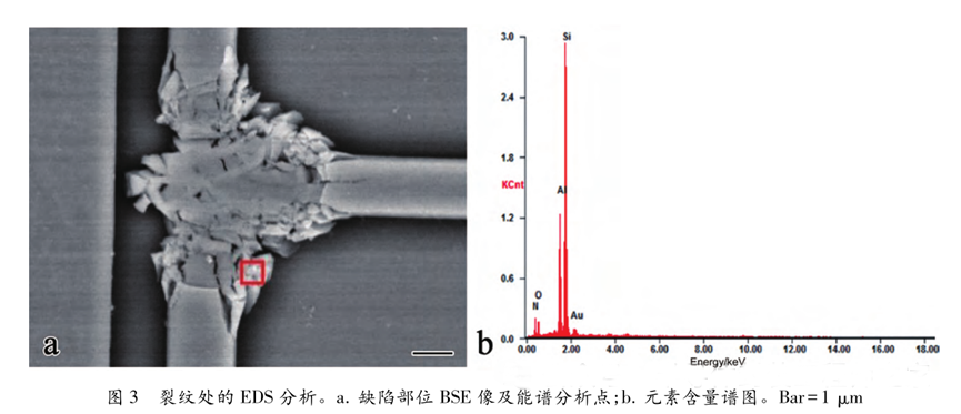超聲波清洗暗藏"芯片密碼"：二氧化硅顆粒撞擊機(jī)理揭秘